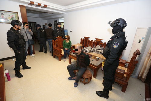 南宁破获万吨大米走私案 市场调研揭示走私活动的影响与危害